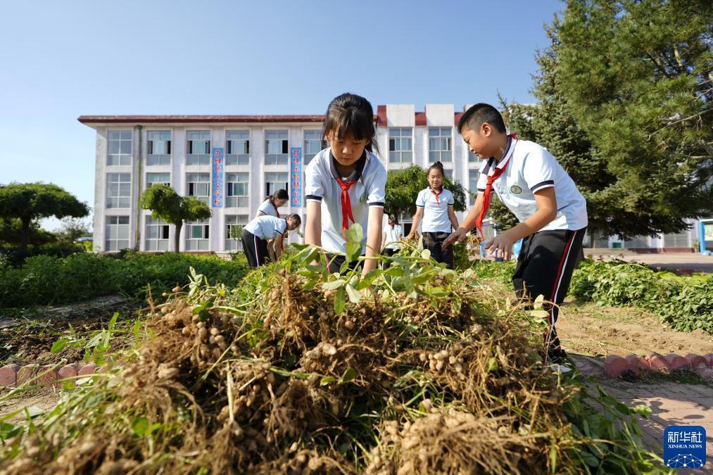 新澳门游戏官网
